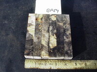 bp54a.JPG bp54a.JPG