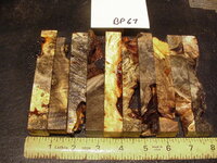 bp67a.JPG bp67a.JPG