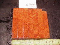rp55a.JPG rp55a.JPG