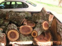 Black Walnut_1.jpg