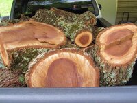 Black Walnut_2.jpg