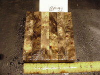 bp91a.JPG bp91a.JPG
