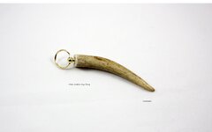 KR002 Deer Antler $10.jpg