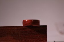 IMG_9603.jpg