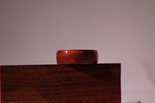 IMG_9602.jpg