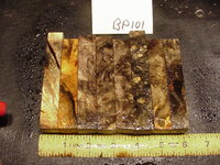 bp101a.JPG bp101a.JPG