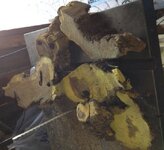 argarita root scrap.jpg