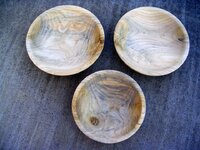 SpaltedAsh.jpg
