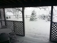 20160323_111623.jpg