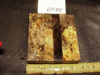 bp85a.JPG bp85a.JPG