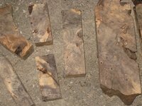 buckeye burl  (6).jpg
