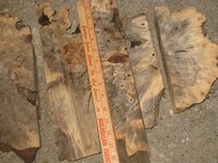 buckeye burl  (2).jpg