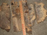 buckeye burl  (5).jpg