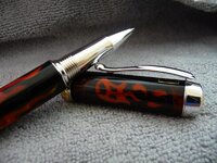 P1020810 (Medium).JPG