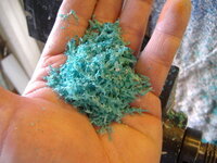 Shavings.JPG