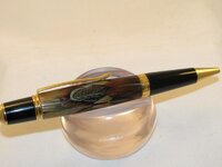 pheasant feather sierra.jpg