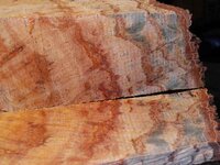timber preparation 011_(1).jpg