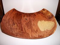 Thorny Locust platter.jpg Thorny Locust platter.jpg