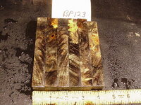 bp123a.JPG bp123a.JPG