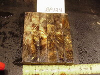 bp124a.JPG bp124a.JPG