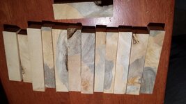 20160428_015841.jpg
