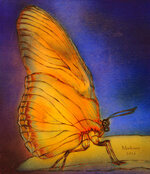 ButterflyWatercolorPyrography,markison,2016.jpg