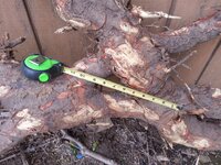 20160509_172904.jpg