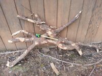 20160509_172858.jpg