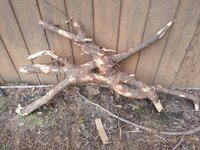 20160509_172823.jpg