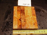 mp19a.JPG mp19a.JPG