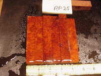 rp25a.JPG rp25a.JPG