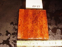 rp37a.JPG rp37a.JPG