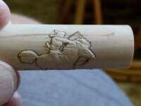 Laser detail.jpg