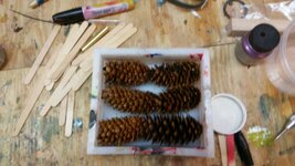 20160502_161716.jpg
