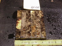 bp135a.JPG bp135a.JPG