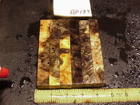 bp137a.JPG bp137a.JPG