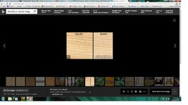 Tree of Haven 2.jpg