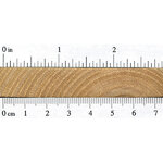 tree-of-heaven-endgrain.jpg