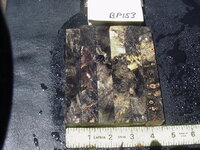 bp153a.JPG bp153a.JPG