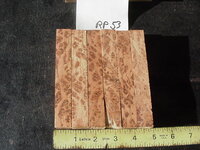 rp53a.JPG rp53a.JPG