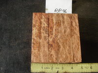 rp46a.JPG rp46a.JPG