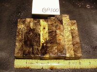 bp100a.JPG bp100a.JPG
