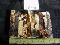 bp165a.JPG bp165a.JPG