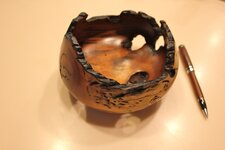 IMG_2883.jpg