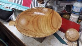 Camphor 01.jpg