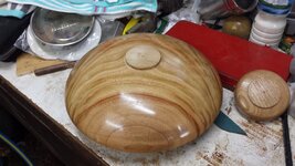 Camphor 02.jpg