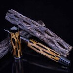 UnderwoodPens-Cholla-8669.jpg
