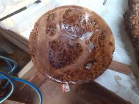 IMG_20150221_163514.jpg