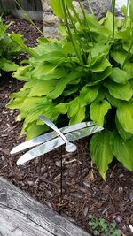 20160622_182340.jpg