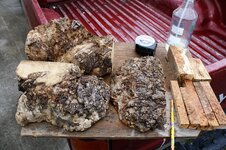 maple burl box 2.jpg